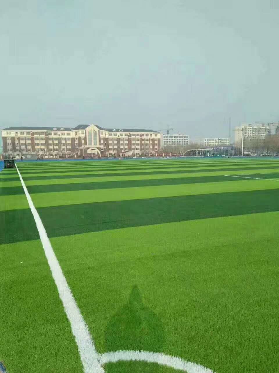 常德市透水跑道仿真草坪 - 推荐